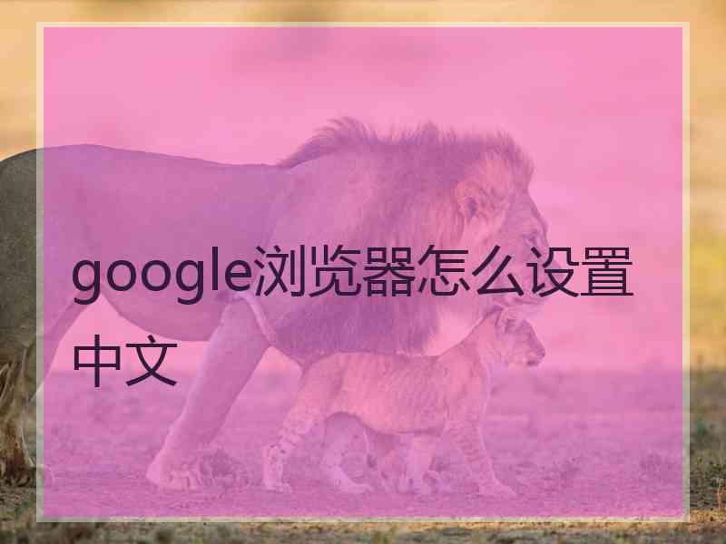 google浏览器怎么设置中文