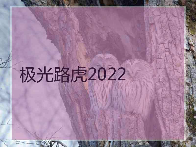 极光路虎2022