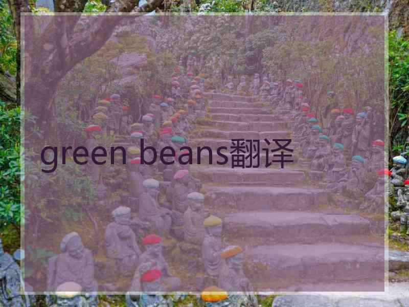 green beans翻译