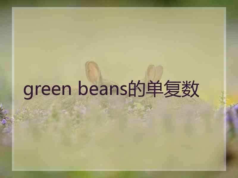 green beans的单复数