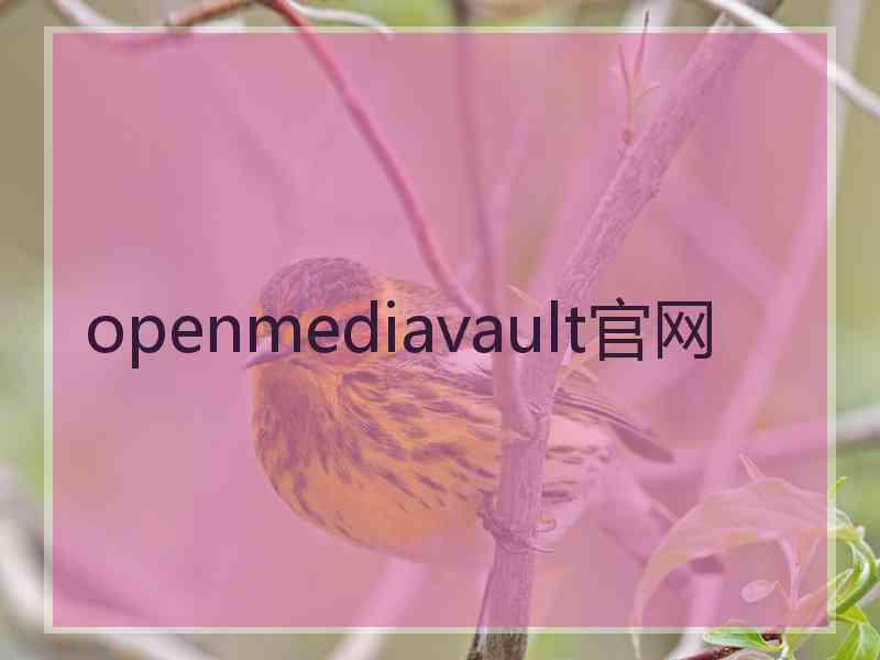 openmediavault官网