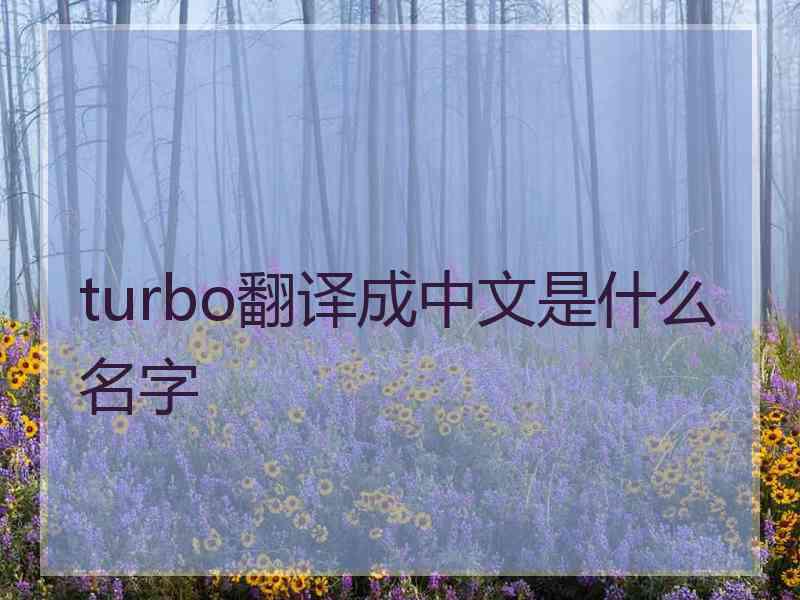 turbo翻译成中文是什么名字