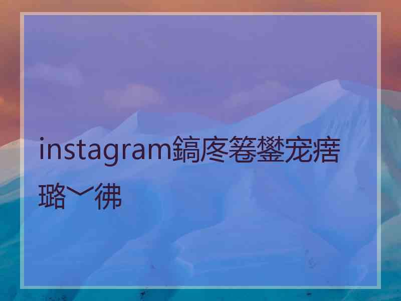 instagram鎬庝箞鐢宠瘔璐﹀彿