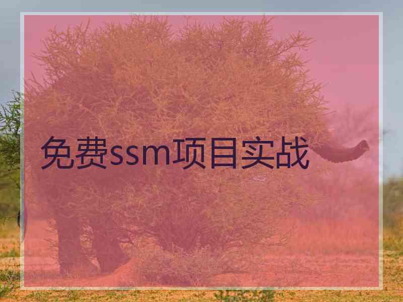免费ssm项目实战