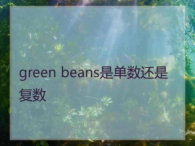 green beans是单数还是复数