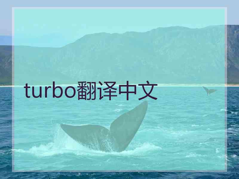turbo翻译中文