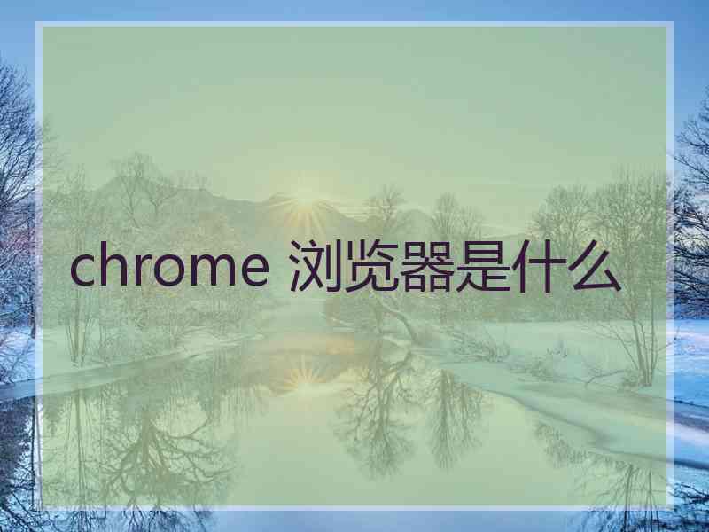 chrome 浏览器是什么