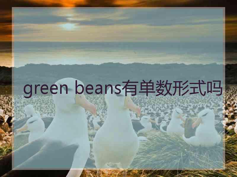 green beans有单数形式吗