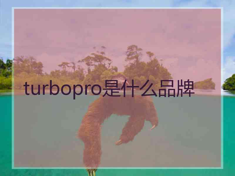 turbopro是什么品牌