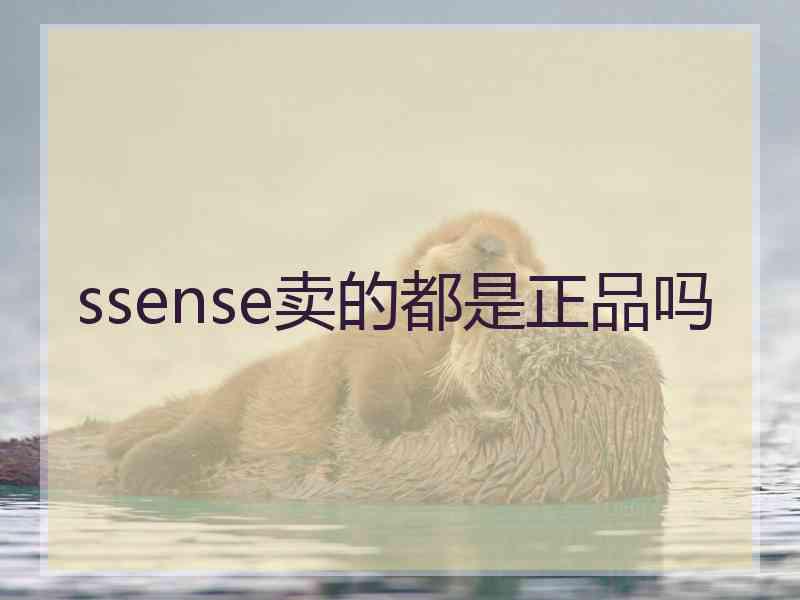 ssense卖的都是正品吗