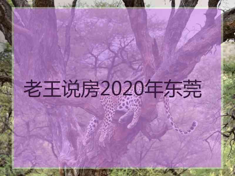 老王说房2020年东莞